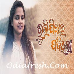 Bhulibara Jadi Thila